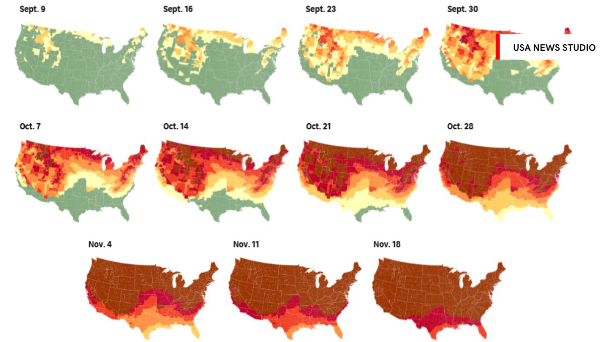 Fall Foliage Maps 2025