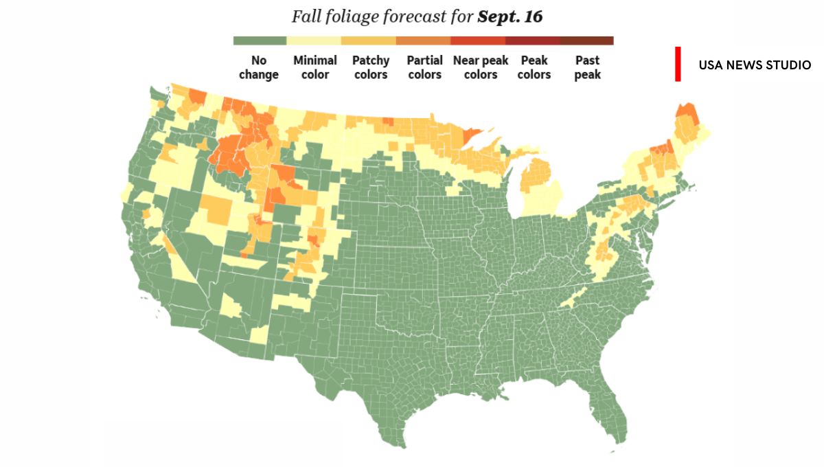 Fall Foliage Maps 2025