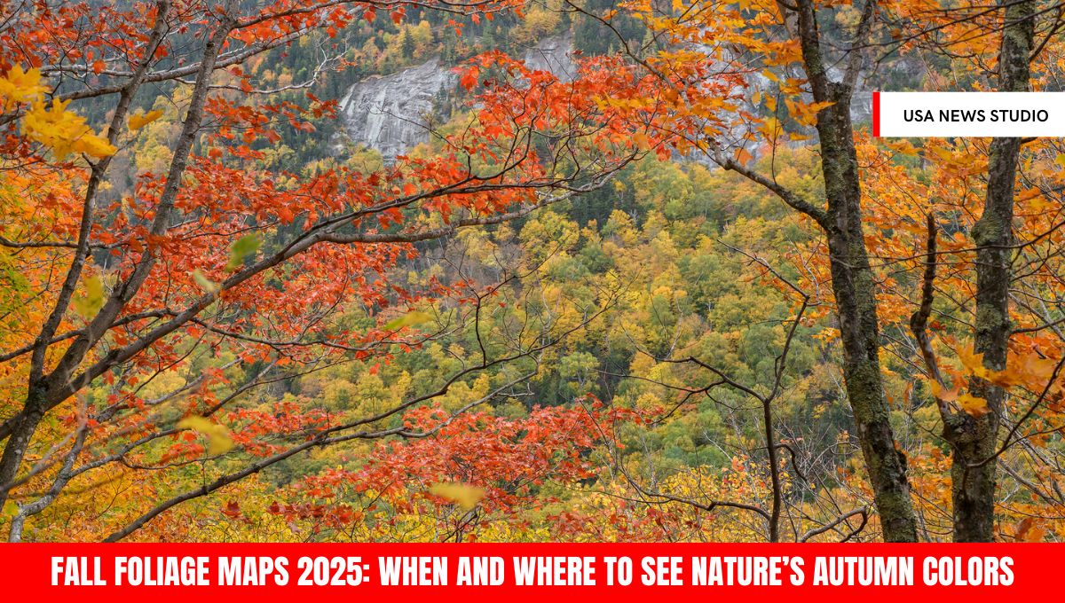 Fall Foliage Maps 2025